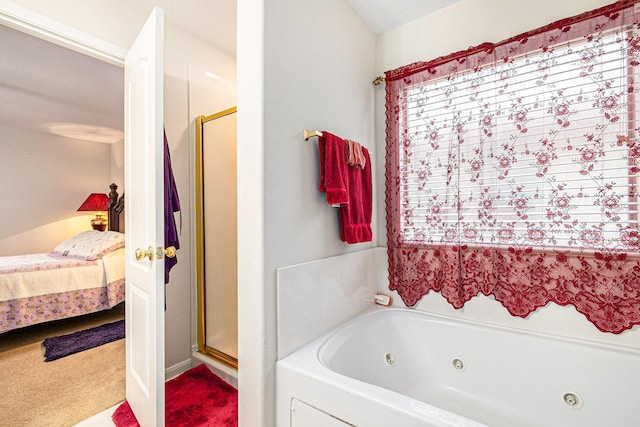 bathroom featuring a healthy amount of sunlight, a tub with jets, a shower stall, and ensuite bath