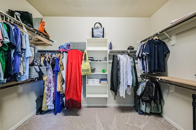 walk in closet featuring carpet floors