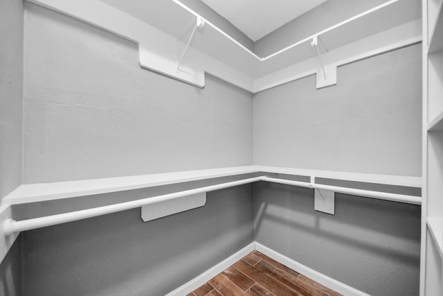 walk in closet featuring dark wood-type flooring