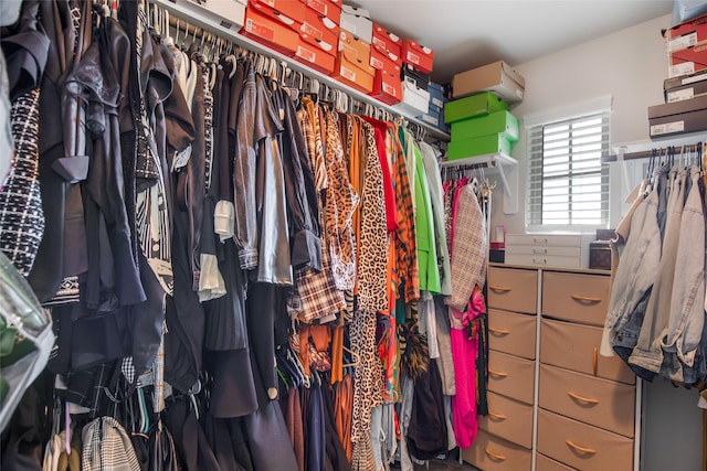 view of walk in closet