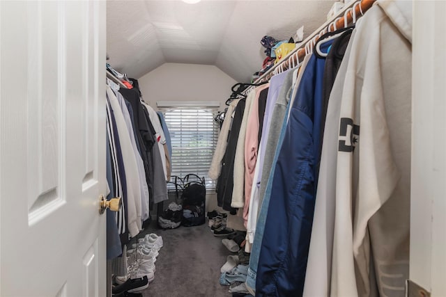 spacious closet with lofted ceiling and carpet floors