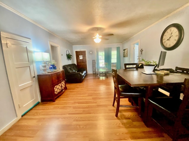 dining room featuring ornamental molding, a ceiling fan, and light wood-style flooring