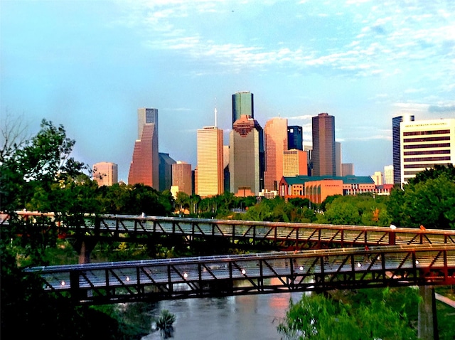 1202 Joe Annie St, Houston, TX 77019 - view of city