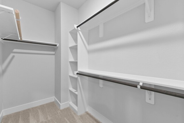 walk in closet with light colored carpet