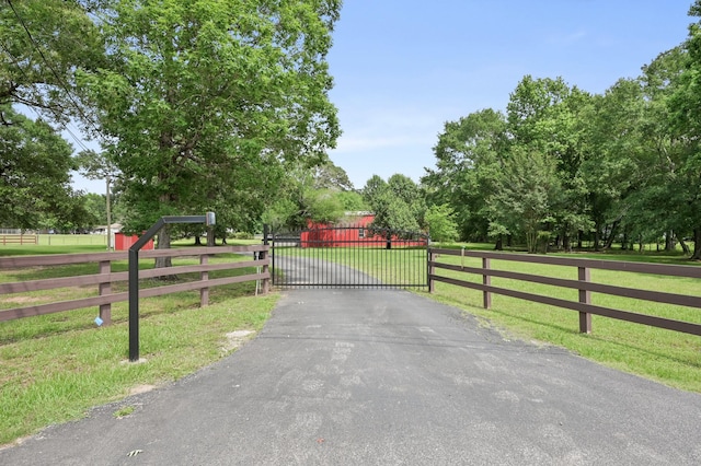 view of road featuring a gate and aphalt driveway
