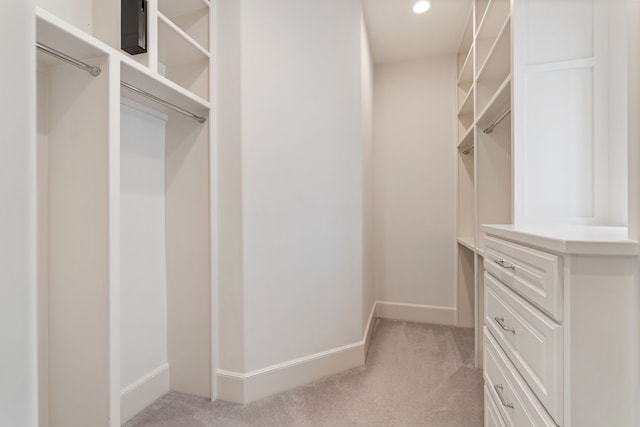 spacious closet with light carpet