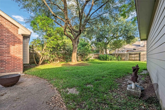 view of yard