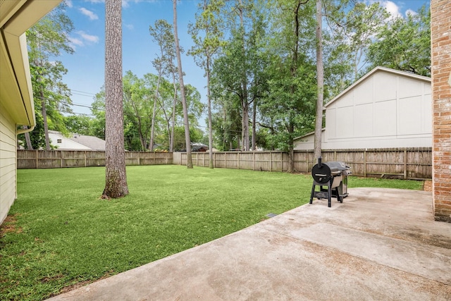 view of yard featuring a fenced backyard and a patio area