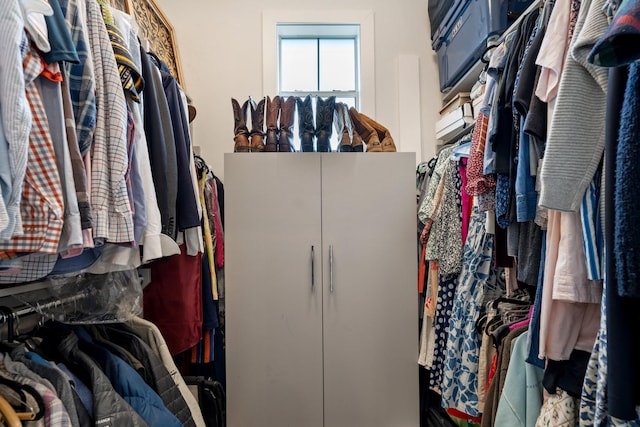 view of walk in closet