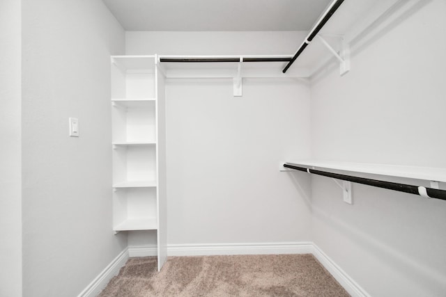 10310 Woodhill Spa Ln, Cleveland, TX 77327 - walk in closet with carpet flooring
