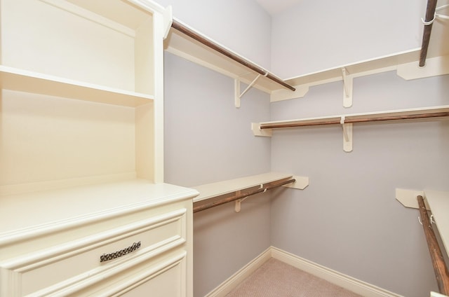 spacious closet featuring light colored carpet