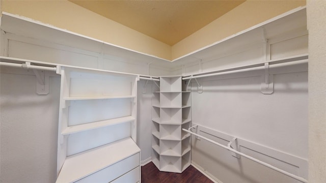 spacious closet with dark wood-type flooring