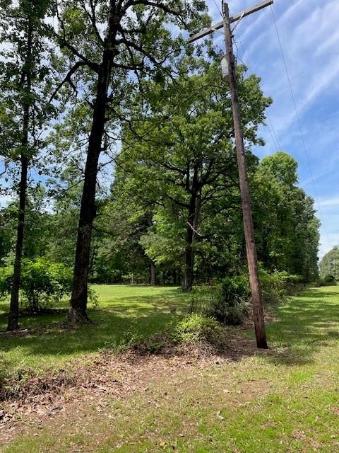 139 Ma County Road 3630, Jefferson, TX 75657 - photo 14