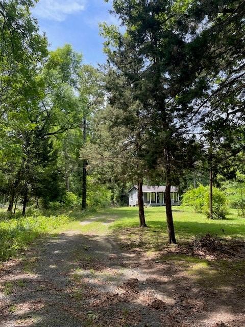 139 Ma County Road 3630, Jefferson, TX 75657 - photo 5