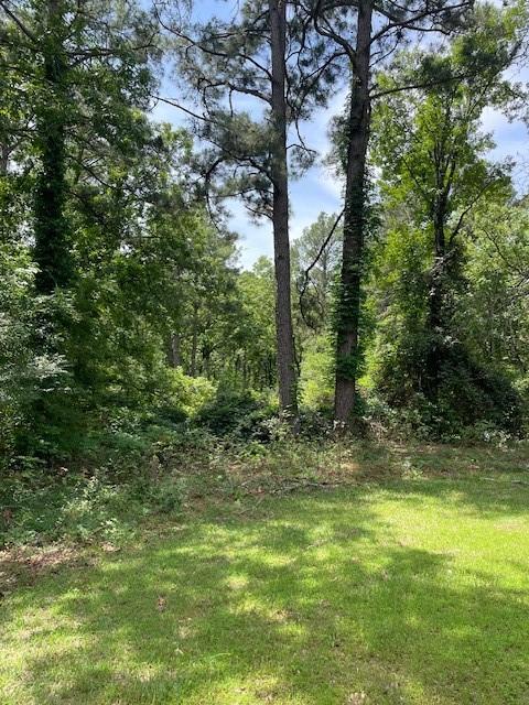 139 Ma County Road 3630, Jefferson, TX 75657 - photo 10