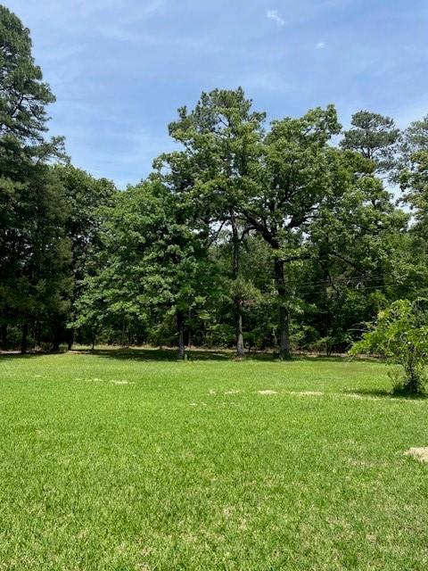 139 Ma County Road 3630, Jefferson, TX 75657 - photo 11