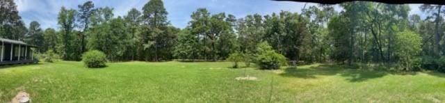 139 Ma County Road 3630, Jefferson, TX 75657 - photo 13