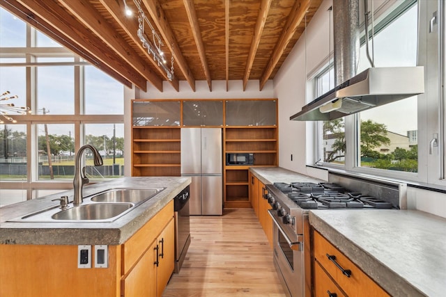 kitchen featuring open shelves, light wood-type flooring, under cabinet range hood, a sink, and stainless steel appliances