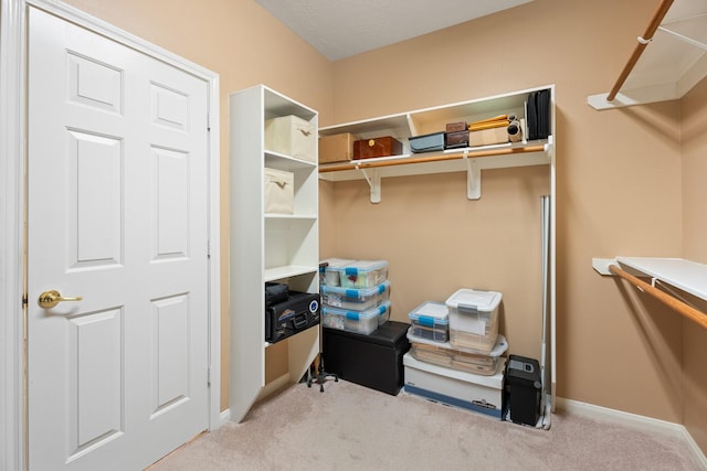 spacious closet with carpet flooring