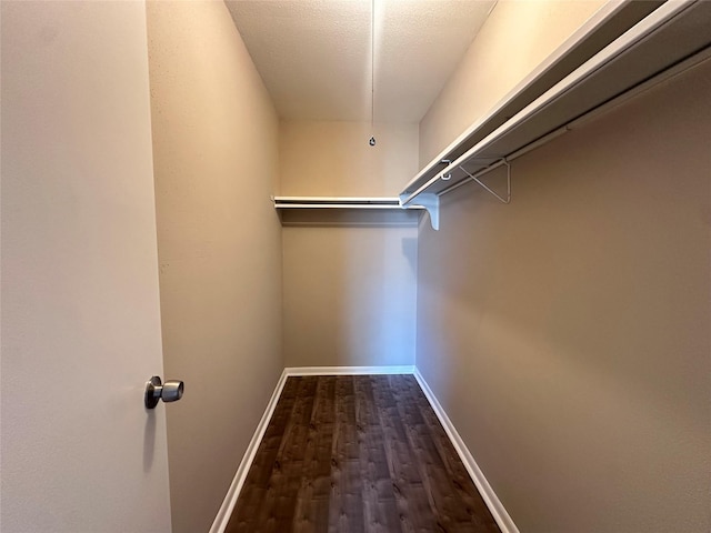 walk in closet featuring dark wood-style floors