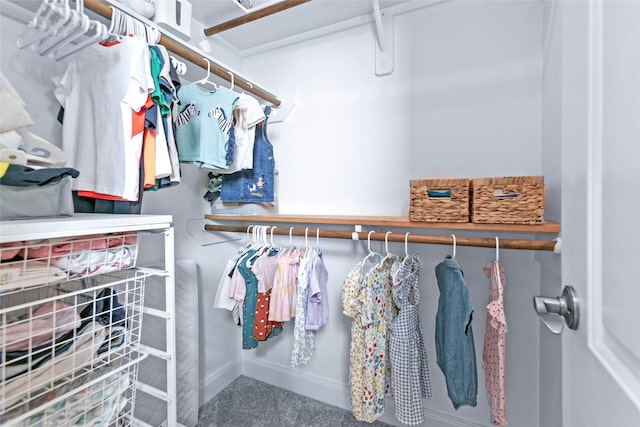 view of walk in closet