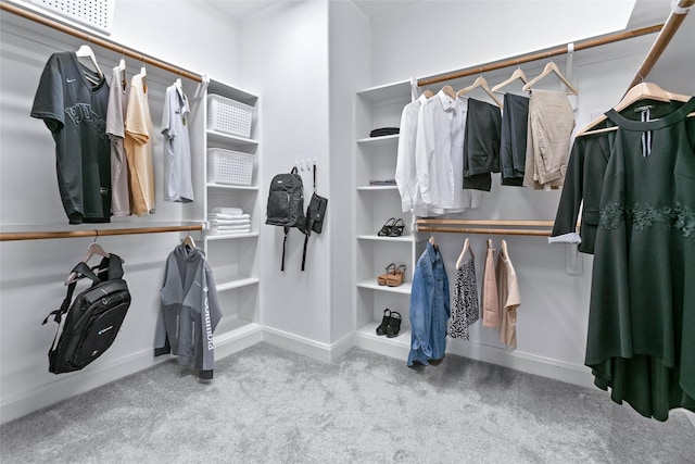 spacious closet with carpet floors