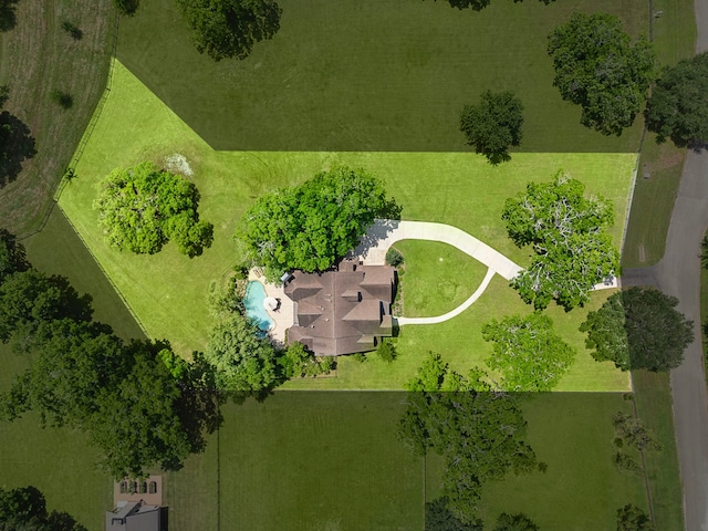 bird's eye view of a pool