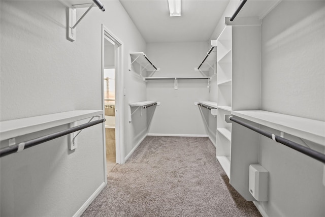 walk in closet featuring light colored carpet
