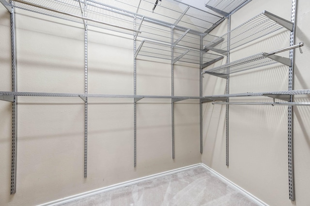 spacious closet featuring carpet floors