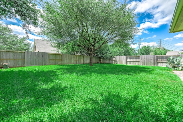 view of yard