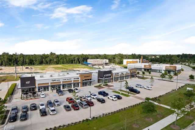 drone / aerial view