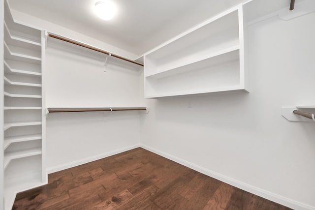 spacious closet featuring dark wood finished floors