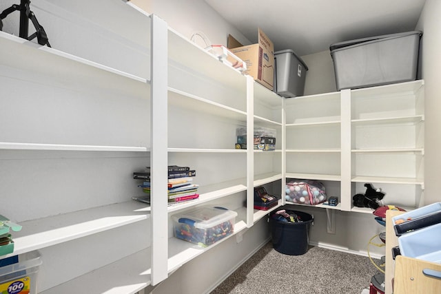 23706 Bluewood Trce, Tomball, TX 77375 - view of storage area