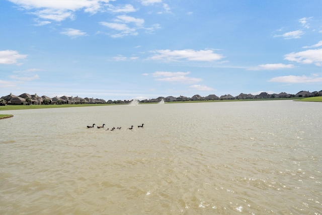 31307 Greenville Creek Ln, Hockley, TX 77447 - photo 12