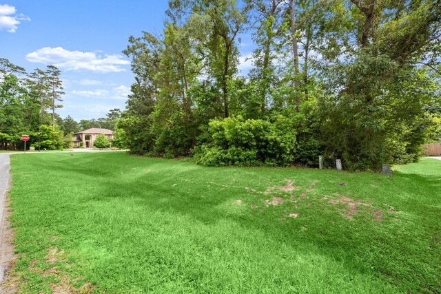4138 Angling Ln, Spring, TX 77386