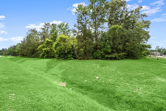 4138 Angling Ln, Spring, TX 77386