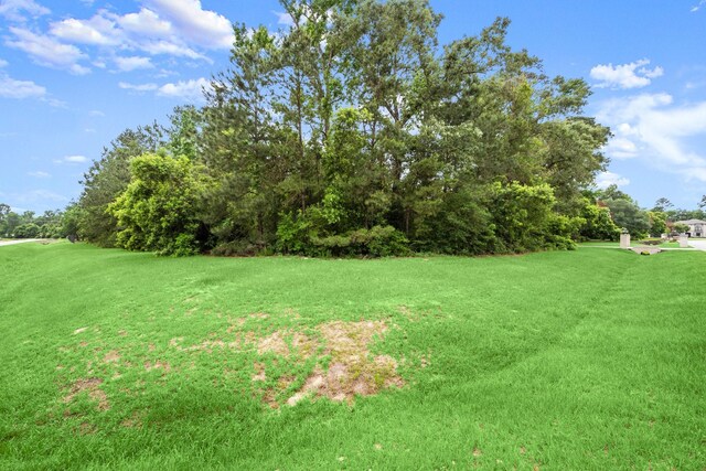 4138 Angling Ln, Spring, TX 77386