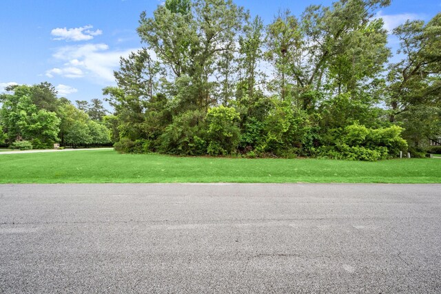 4138 Angling Ln, Spring, TX 77386