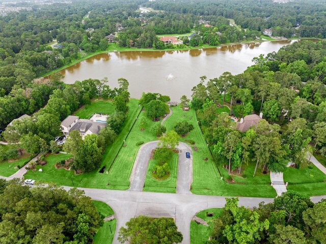 4138 Angling Ln, Spring, TX 77386