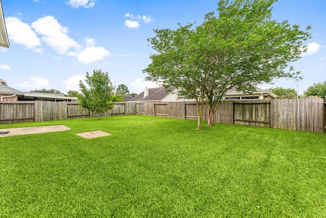 1811 Salt Valley Dr, Katy, TX 77493 - view of yard featuring a fenced backyard
