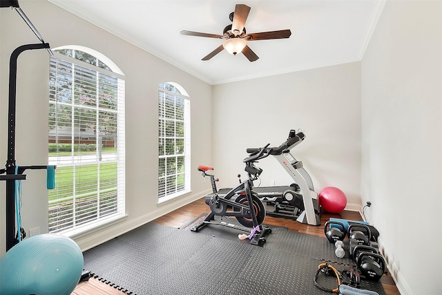 14010 Lakewood Crossing Blvd, Houston, TX 77070 - exercise room featuring baseboards, ornamental molding, ceiling fan, and wood finished floors