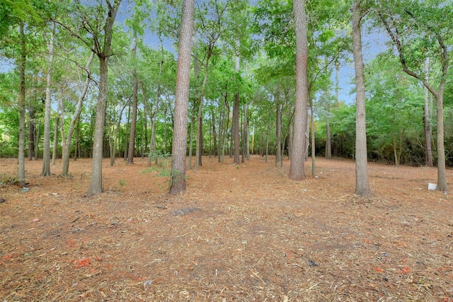 14010 Lakewood Crossing Blvd, Houston, TX 77070 - view of landscape