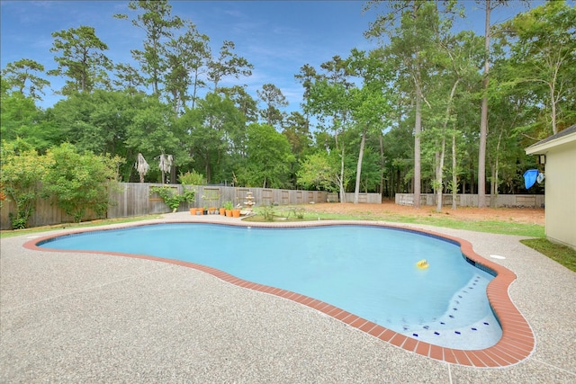 14010 Lakewood Crossing Blvd, Houston, TX 77070 - view of swimming pool with a fenced backyard, a fenced in pool, and a patio
