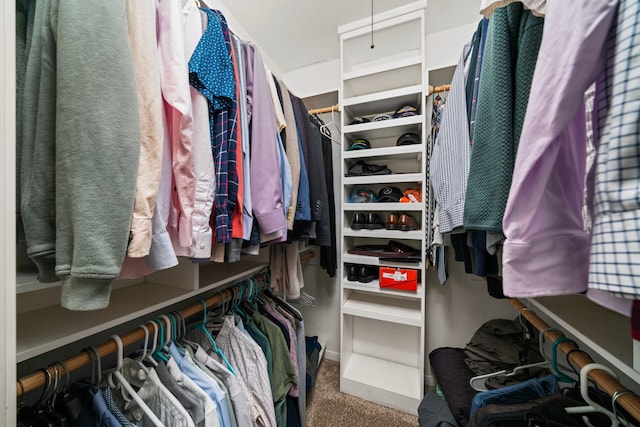 walk in closet with carpet