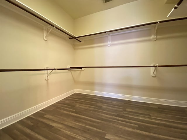 spacious closet featuring dark wood-style floors