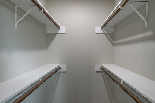 view of walk in closet