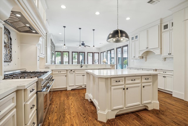 kitchen with custom range hood, a peninsula, high end stainless steel range oven, and a wealth of natural light