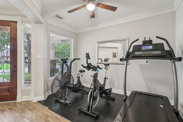 workout room featuring baseboards, visible vents, ornamental molding, and ceiling fan