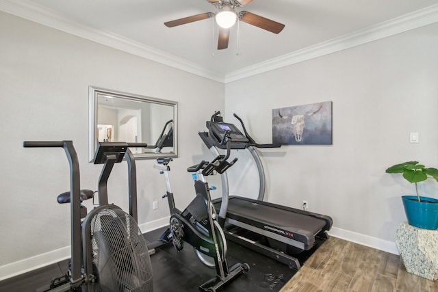 exercise area featuring crown molding, baseboards, ceiling fan, and wood finished floors