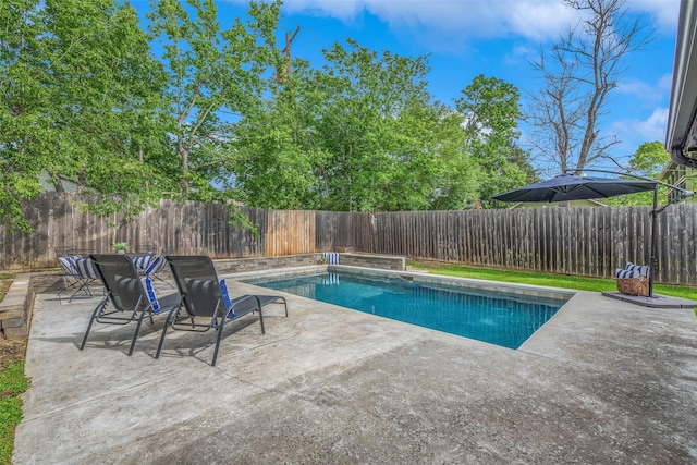 view of swimming pool with a fenced backyard, a fenced in pool, and a patio
